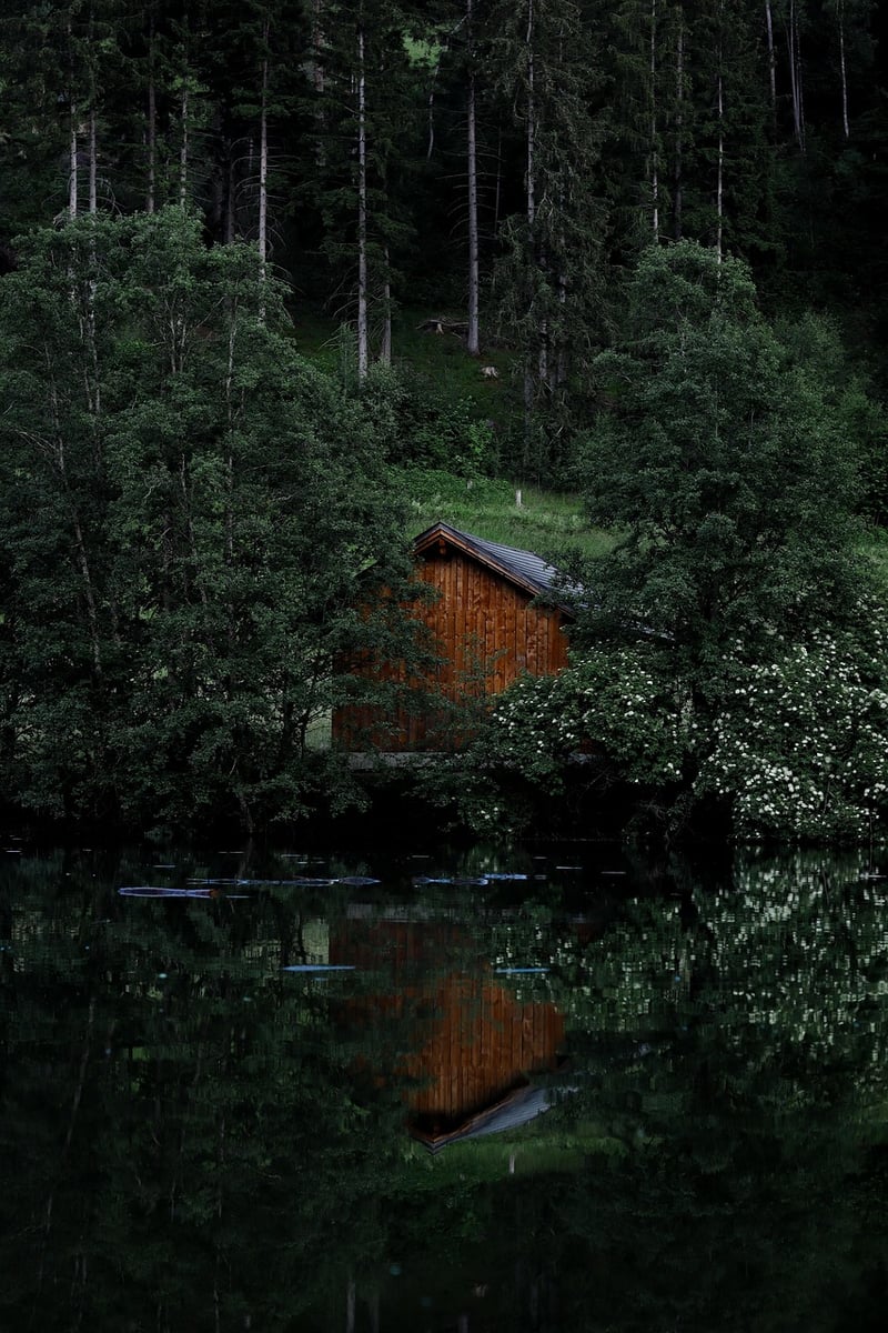 Tranquil Pines Lodge